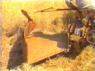 CAMPO - (46)  LABRANZA
